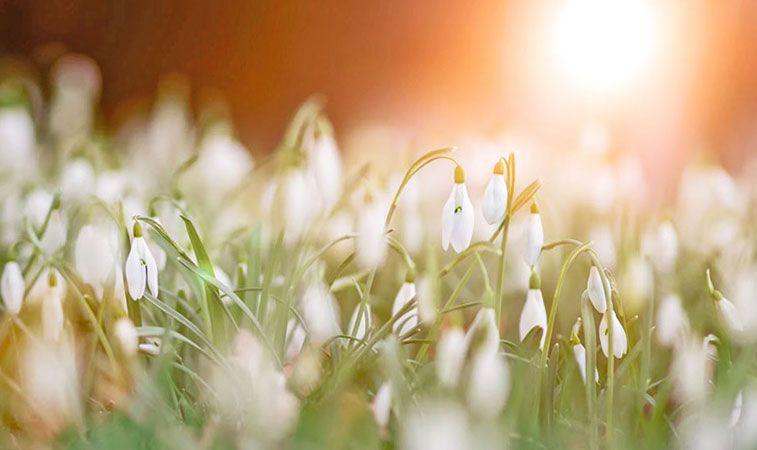 Spring-outdoors-Fresh-Smell